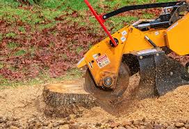Best Arborist Consultation Services  in Pineland, TX