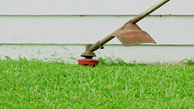 Best Lawn Mowing  in Pineland, TX